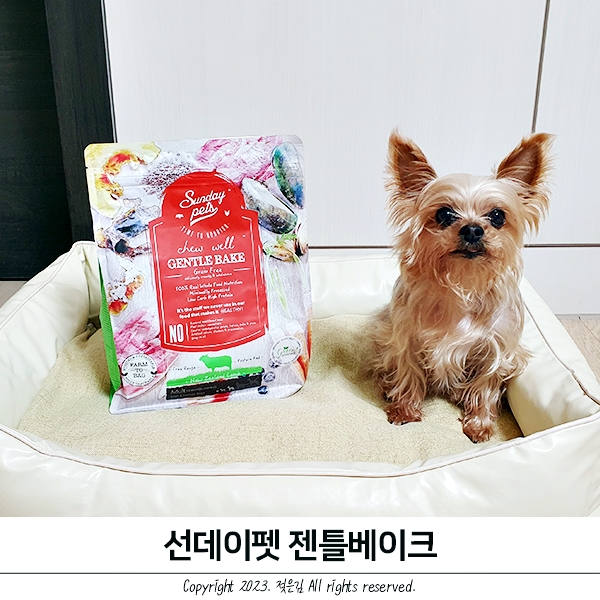 오븐베이크 사료 선데이펫 젠틀베이크 뉴질랜드 사료 오븐베이크 사료 선데이펫 젠틀베이크 뉴질랜드 사료