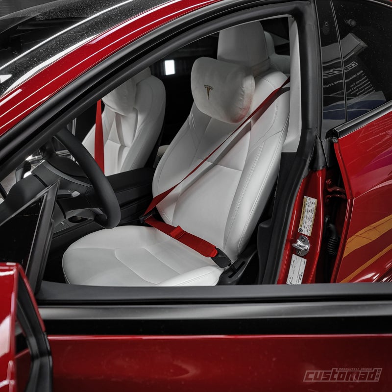 부산시 기장군 / 실내커스텀/염색 / 테슬라 / 모델3 / 모델 3