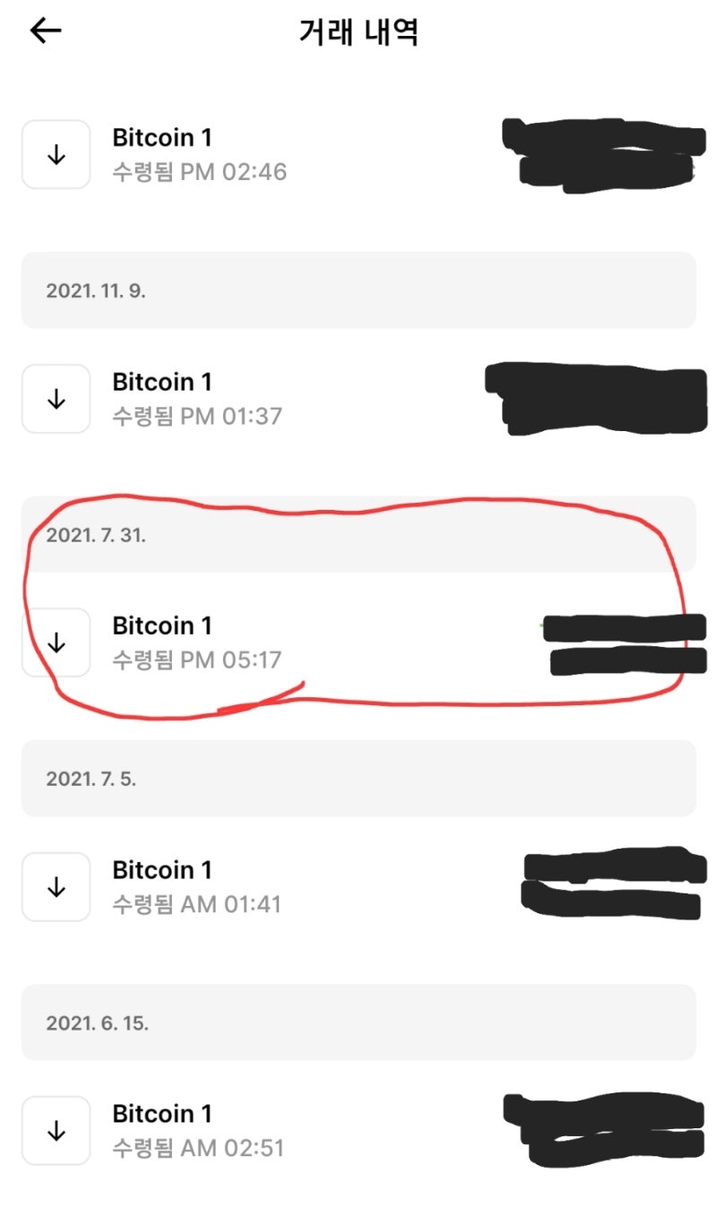 비트코인 주소 유형(지갑 복구했는데 비트코인이 없어요) : 네이버 블로그