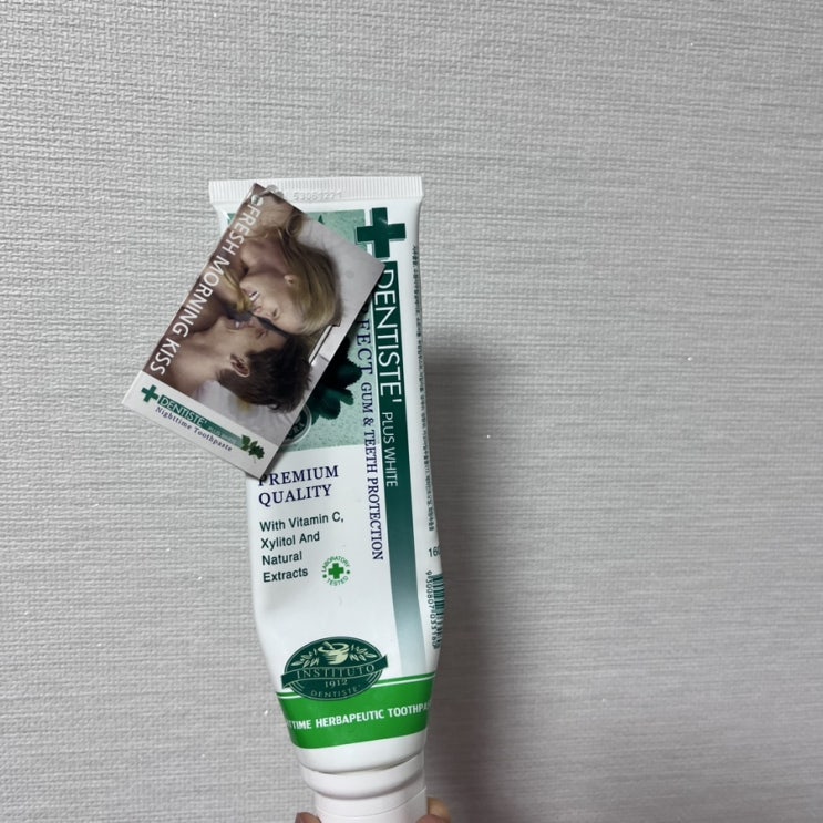  덴티스테치약 내돈내산 후기