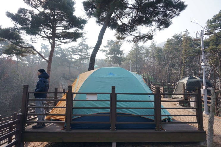  30만원대 설치쉬운 6인용 돔텐트 켈티 와이어리스
