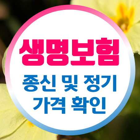  부모님사망보험 가입 시 종신 정기 생명보험가격 비교 후 결정하세요.