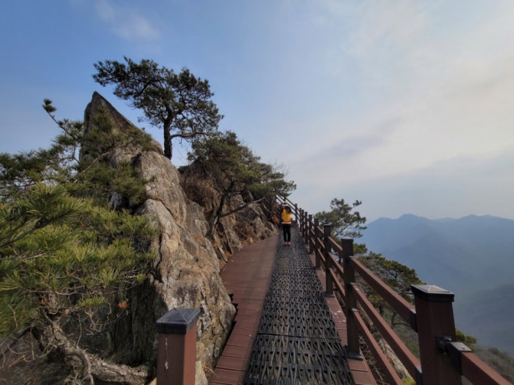  동악산 등산(도림사 코스)