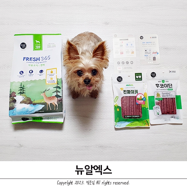 강아지 사슴사료 뉴알엑스 사료와 간식 급여했어요 강아지 사슴사료 뉴알엑스 사료와 간식 급여했어요