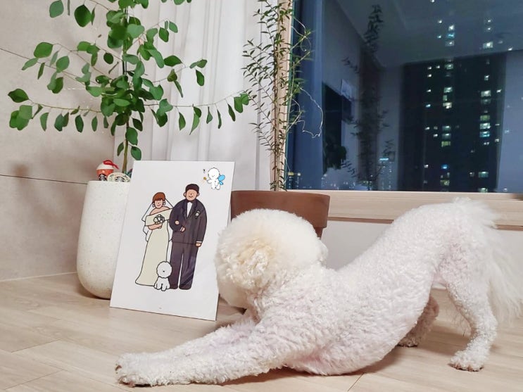  강아지 기지개 켜는 이유 정리, 뒷다리도 마찬가지일까?