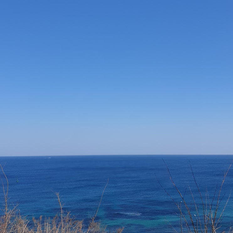  법인세 가산세 요약표
