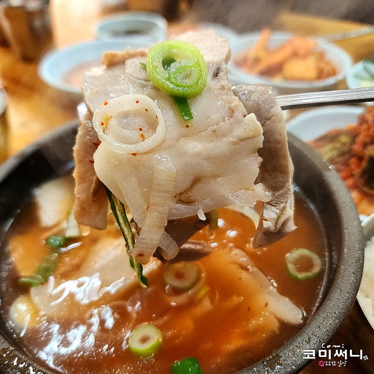 [부산 남구] 합천국밥집 오륙도 근처 맑은 돼지국밥 현지인 맛집