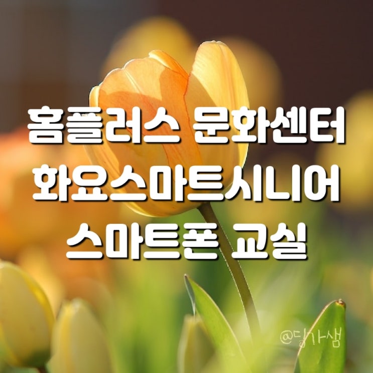  트로트보다 재미있는 스마트폰 교실 중급반 - 홈플러스 문화센터 부산 연산점