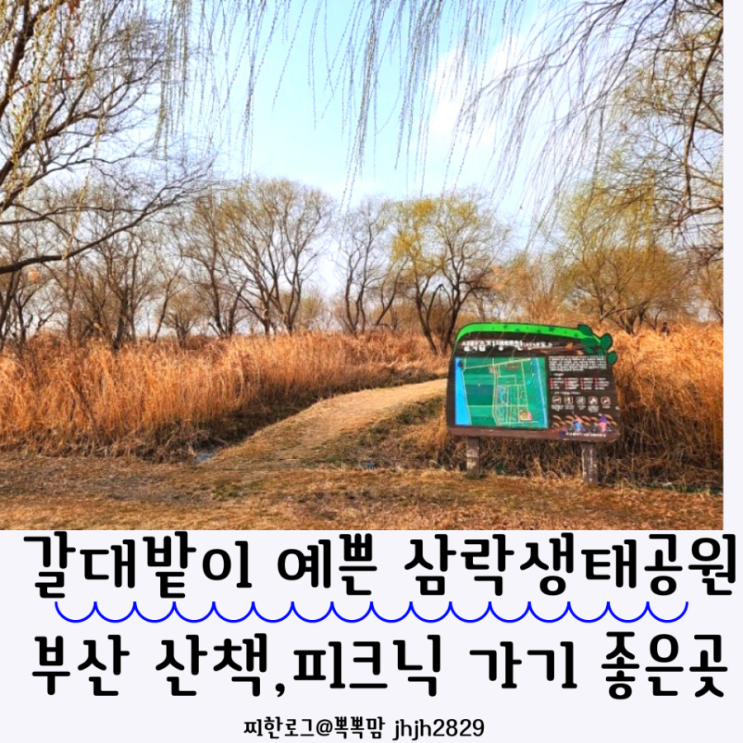  갈대밭이 예쁜 부산삼락생태공원 산책,피크닉 가기 좋은곳