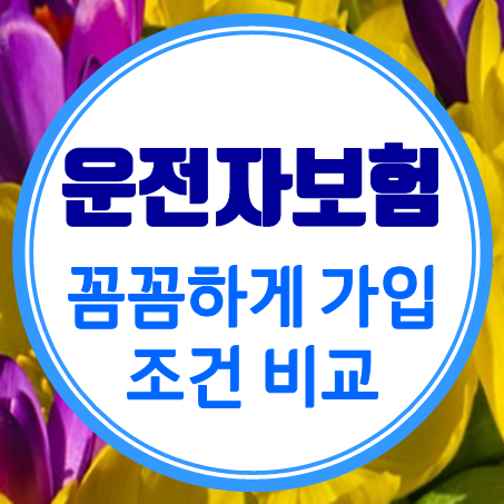  화물운전자보험 추천 개정된 영업용 화물차운전자보험 보상 가입조건을 체크하세요.