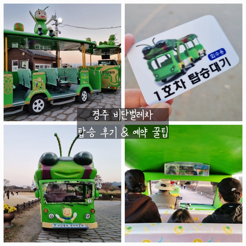 [여행꿀팁] 경주 대릉원 비단벌레 전동차 | 예약방법 | 가격 | 타는 곳 | 코스 - 짜릉