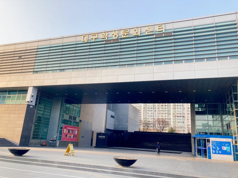 수영장 투어 대구학생문화센터 수영장 주말 자유수영의 모든 것