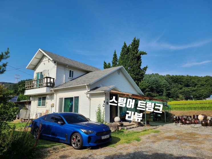  스팅어 트렁크 리뷰 l 사람들이 잘 모르는 스포트백 트렁크의 활용성