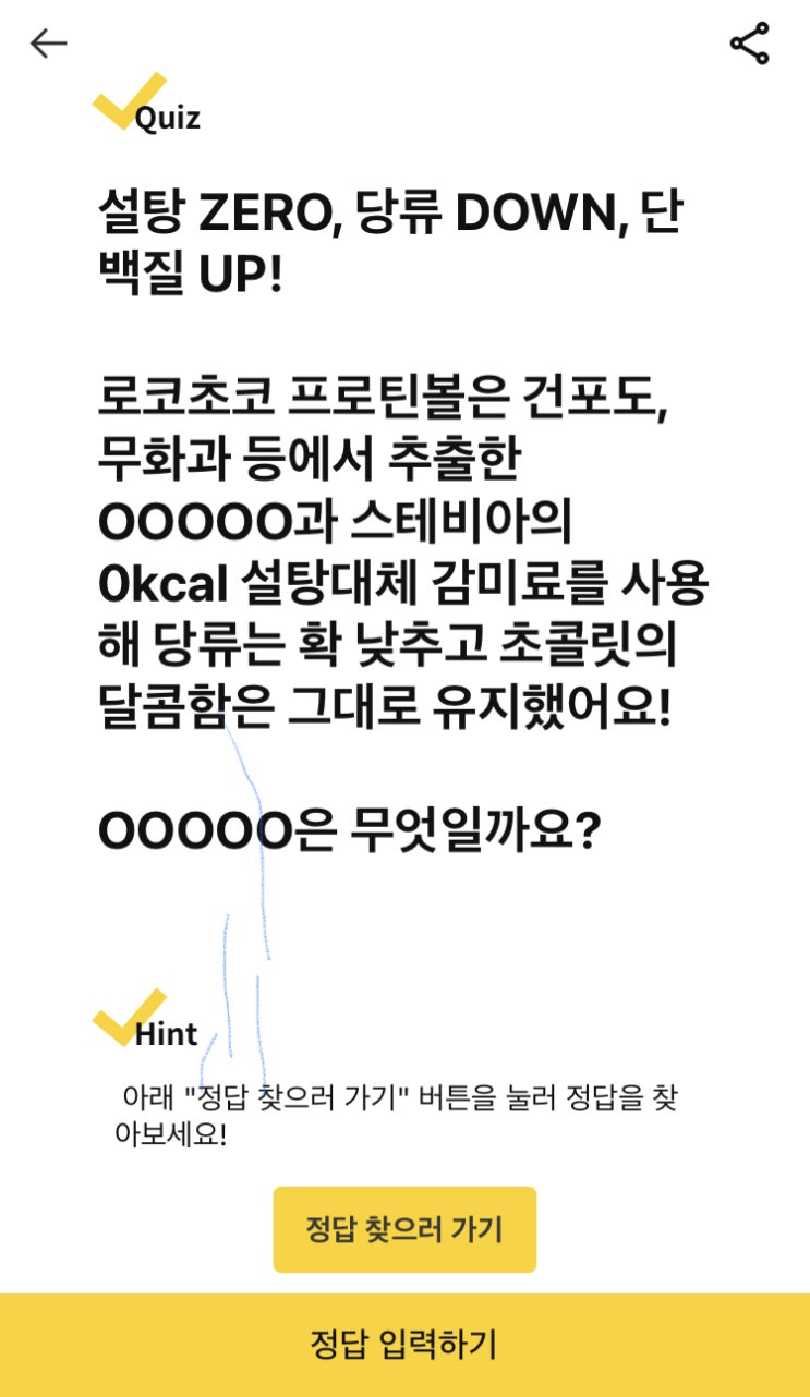  캐시닥 - 로코초코 프로틴볼
