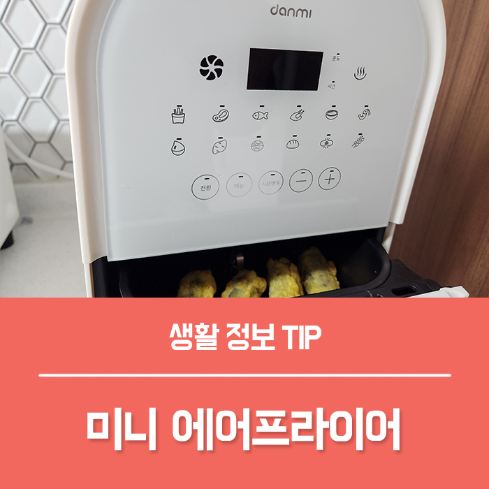  자취 신혼부부선물, 집들이 선물로 좋은 소형 미니에어프라이어