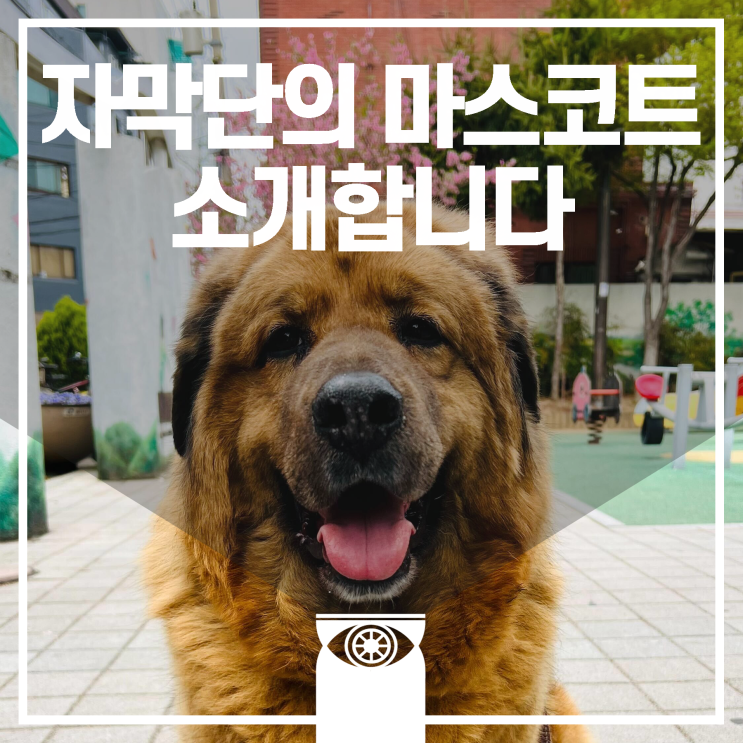  [재인하루] 21세기자막단의 마스코트, 재인을 소개합니다 (짱크짱귀 세젤예)