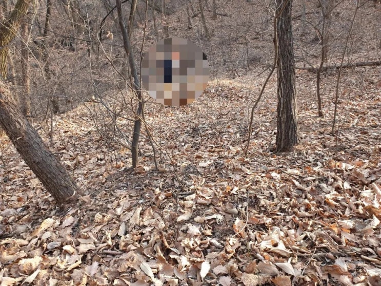  2023년 경북 문경시 산양면 반곡리 화장후 공원안치 김천고인돌장의사 #2023년윤달 #윤달이장 #윤달화장 #문경장의사 #문경이장 #문경화장 #김천윤달화장 #김천윤달이장