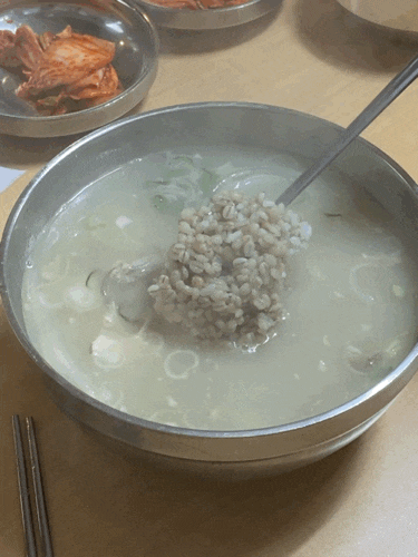  제주 가성비 끝판왕 도민맛집 만강촌 옛날 닭칼국수 5번째 방문!!