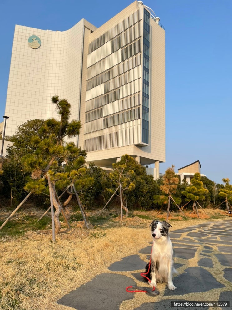  부산 기장 아난티 힐튼 호텔 이터널 저니, 산책로, 주차