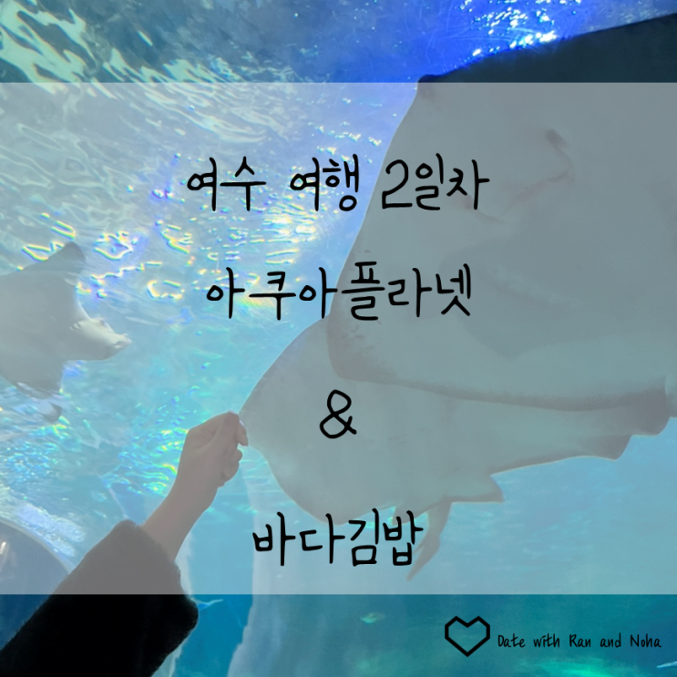  여수 아쿠아플라넷과 제일 맛있었던 바다김밥 여수 여행 2일차