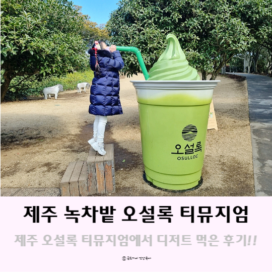 제주도 녹차밭 디저트를 즐길 수 있는 곳, 제주 오설록 티뮤지엄 제주도 녹차밭 디저트를 즐길 수 있는 곳, 제주 오설록 티뮤지엄