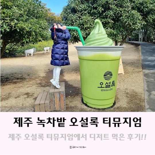 제주도 녹차밭 디저트를 즐길 수 있는 곳, 제주 오설록 티뮤지엄