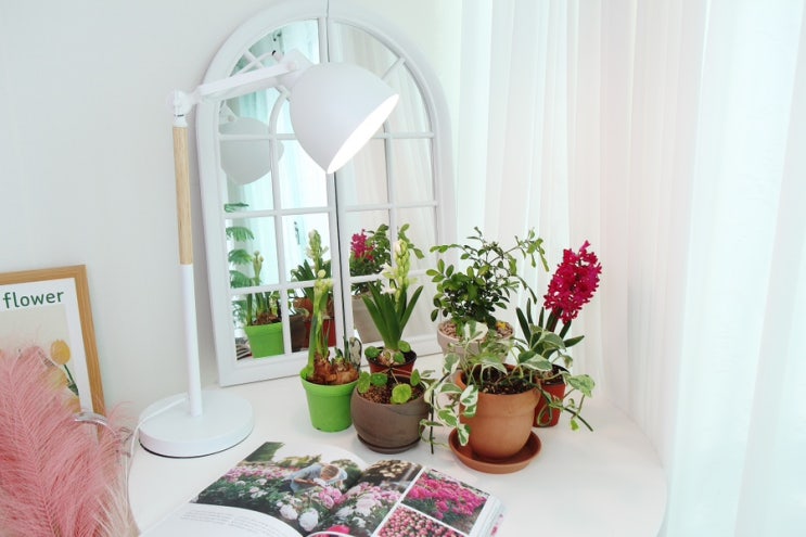 식물등 led 성장조명 퓨쳐라이트 건강한 식물 기르기 식물등 led 성장조명 퓨쳐라이트 건강한 식물 기르기