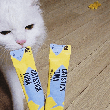  <꼬뜨 캣스틱> 고양이 츄르 건강 영양 습식 간식
