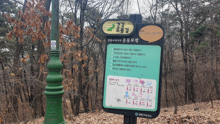  동네 한 바퀴, 뒷동산 오랜만이네요 ㅎ