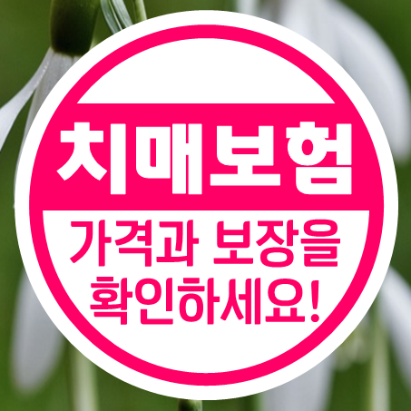  부모님치매보험 추천 노인 치매보험가입연령 나이에 따른 가격 및 보장 확인