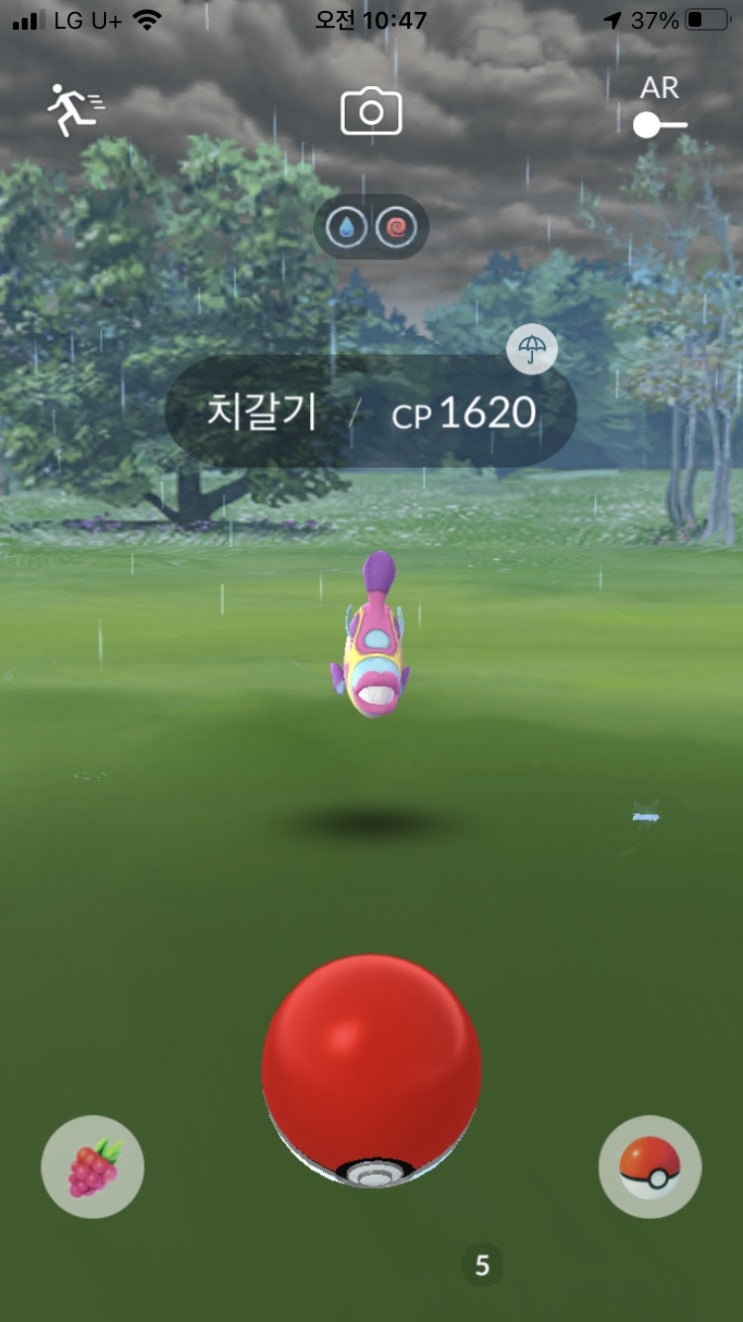  포켓몬고 이갈기 포켓몬 “치갈기” 최초 등장 및 메가요가램과 요가램 이로치 등장 소식