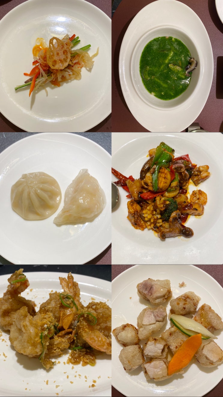  반월당역 팔진향 _ 프라이빗한 룸에서 깔끔한 중식 코스요리 취저