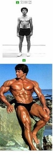  체형에 따른 근육발달, 나는 무슨 체형일까?