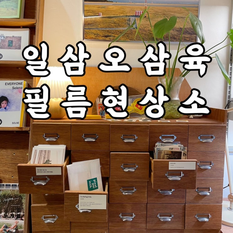  서울여행 일삼오삼육 필름현상소 나의 필름 스캔지