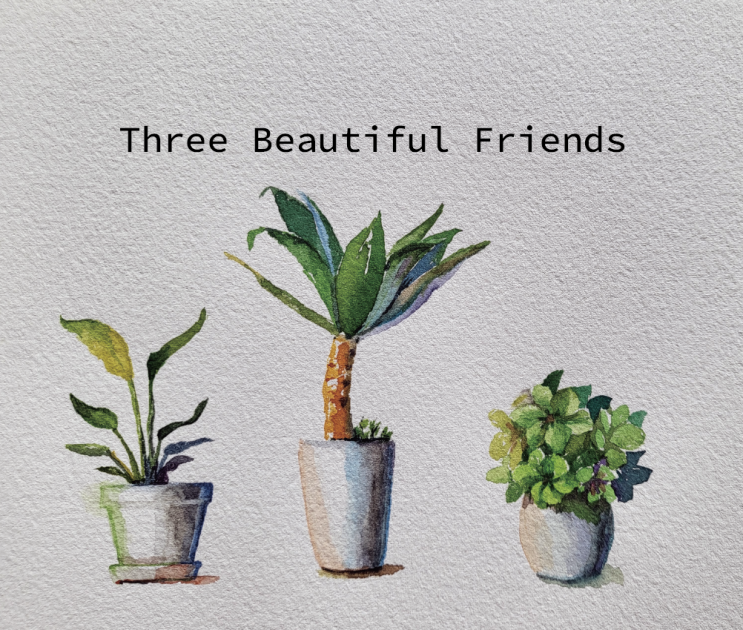  미국인들이 자주 사용하는 단어 Beautiful 아름답다
