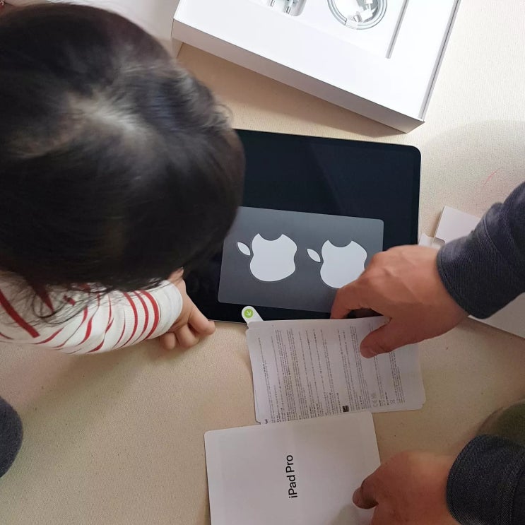  디지털 드로잉 도전 _ iPad Pro 구입