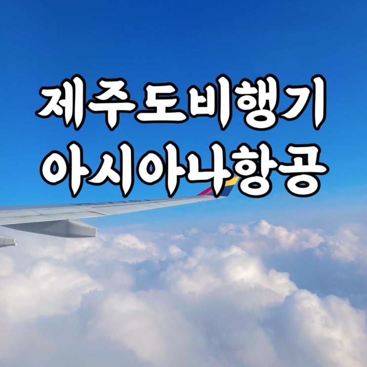  제주도)제주도비행기 아시아나 수하물, 좌석 OZ8913, OZ8956 편명 지연 탑승 후기