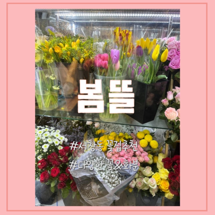  [인천 서창동]봄뜰 꽃집, 꽃다발&화분추천, 무인카페