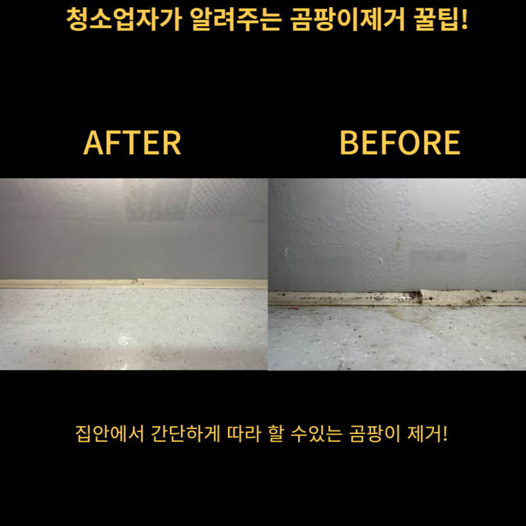  곰팡이 제거 쉽게 따라 할 수 있는 꿀팁
