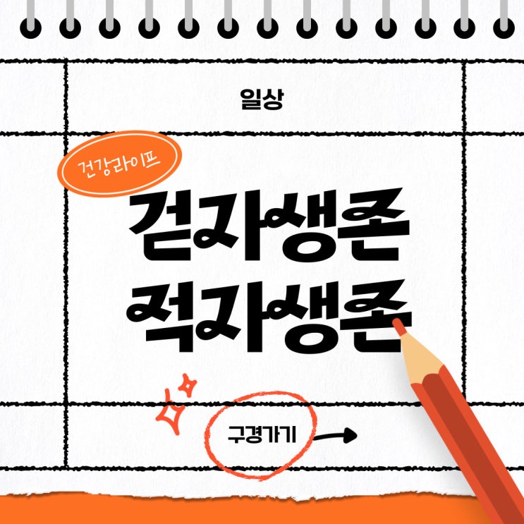  [해운대옥돌미] 걷자생존,적자생존 하루 만보 걷기 생활화해봐요~!