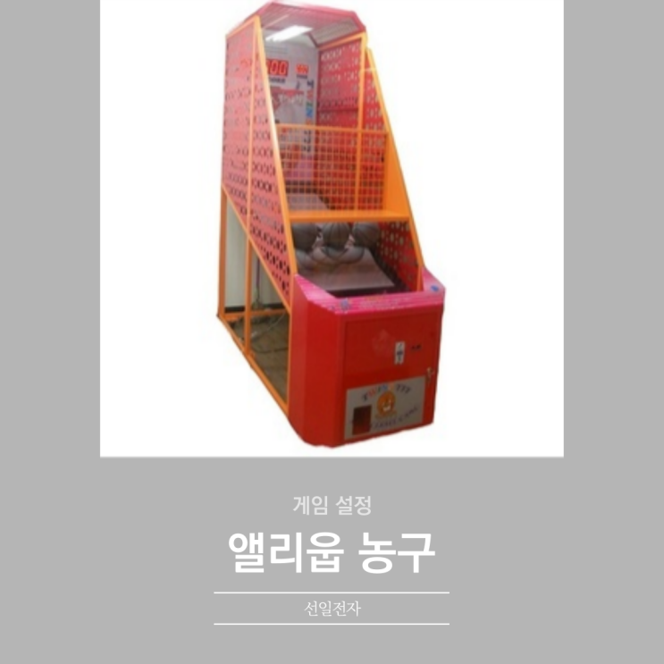  앨리웁 농구 설정
