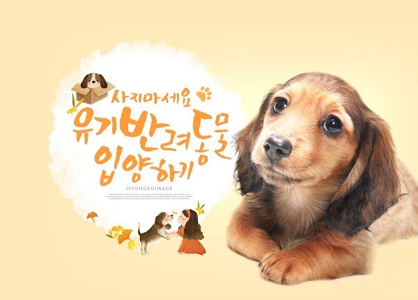  유기동물 입양비 지원 사업 안내, 지원대상, 지원비용, 신청방법