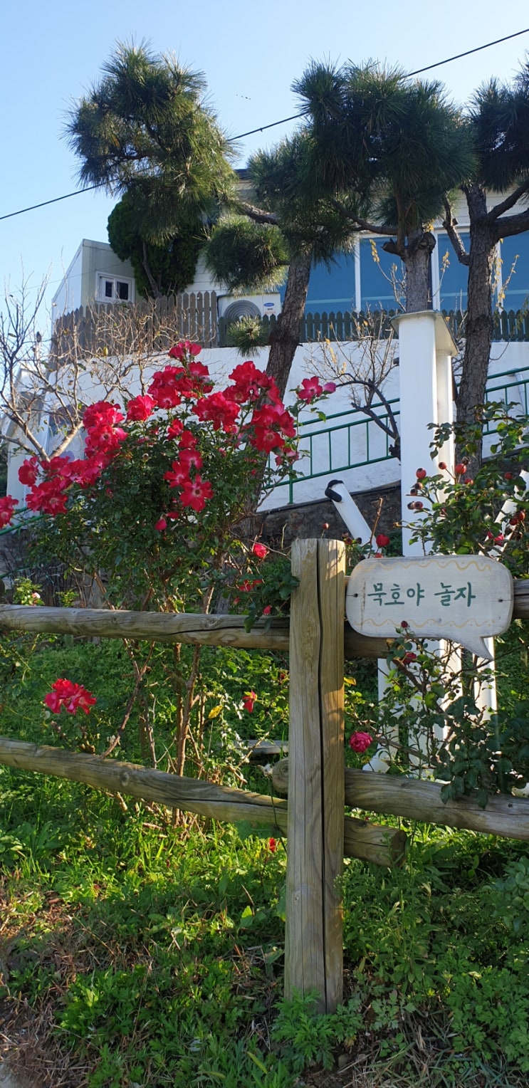  묵호항 논골담기(풍경)