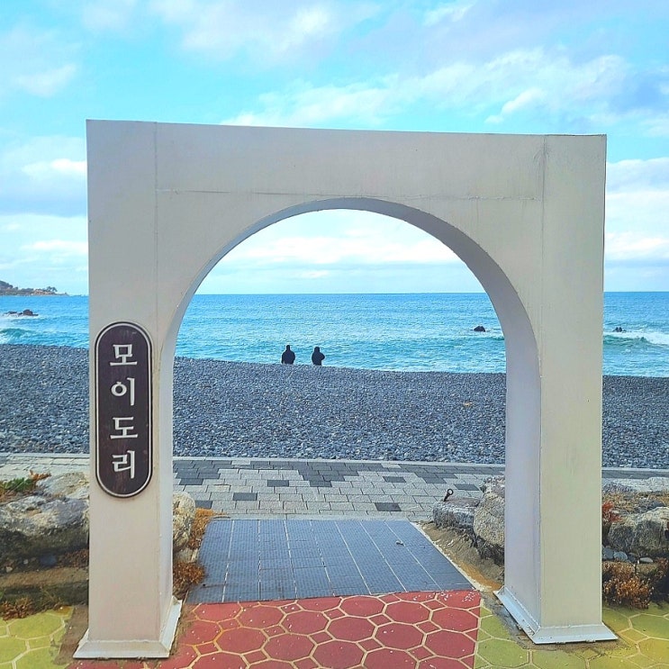  울산 주전 카페 오션뷰가 이쁜 카페 모이도리!