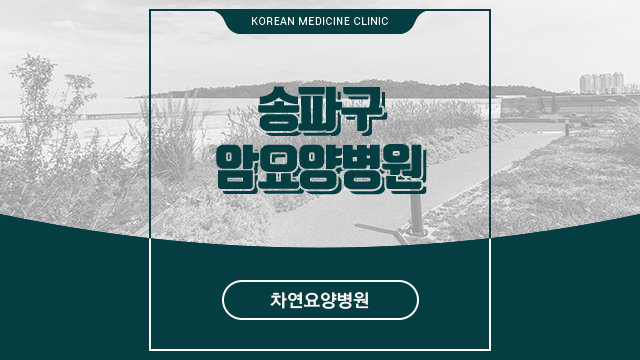  송파구암요양병원 요양 관리 받을 수 있는 곳으로