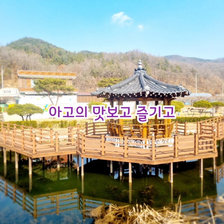  아고의 맛보고 즐기고~ 국내여행 W10