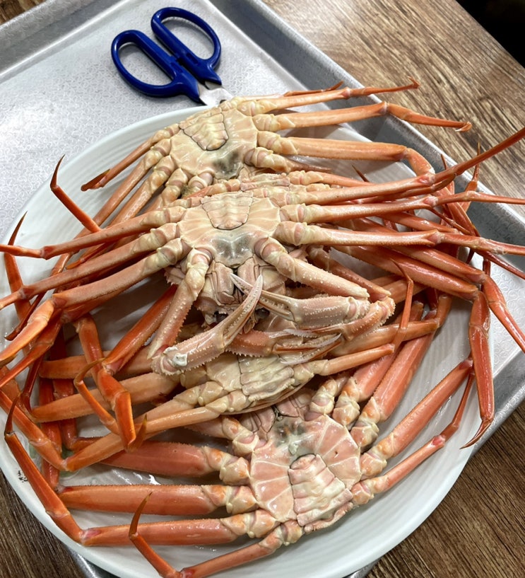 영덕대게 맛집) 대게 싸고 맛있는집 현이수산