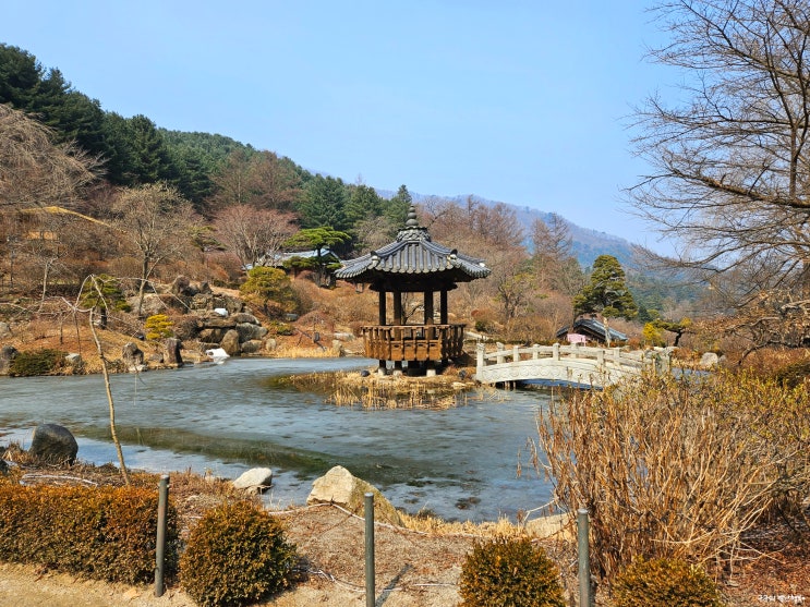  가평데이트/드라이브 코스 추천 Ⅰ(가족식사 가능한 한정식집부터 크래머리 브루어리, 아침고요수목원과 아침고요동물원까지)
