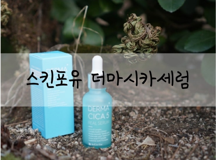  병풀에센스 촉촉하고 산뜻한 스킨포유 더마 시카5 리얼세럼