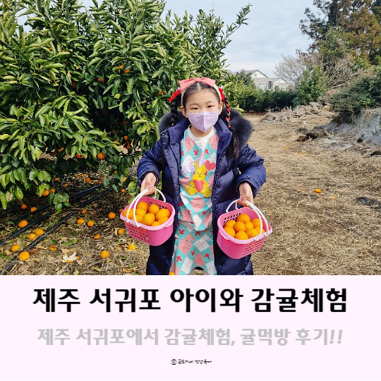 제주도 서귀포 감귤체험 하늘여행 행글라이더 제주브이패스 아이랑 가볼만한곳